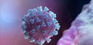 Canadá confirma los primeros 2 casos de la nueva variante Omicrón