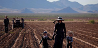 Campesinos de Campeche piden que las autoridades desalojen compañías menonitas de sus tierras