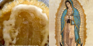 Aseguran aparición de la Virgen de Guadalupe en olla de frijoles