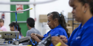 Impulso femenino en el ámbito laboral de Nuevo León; aumenta la presencia de mujeres empleadoras