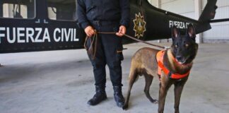 Refuerzan seguridad en escuelas de Nuevo León tras amenazas