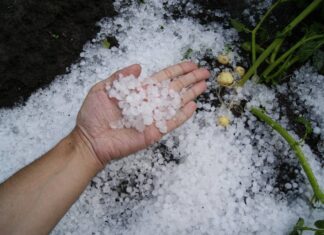 Frente frío 49 provocará lluvias intensas en Nuevo León