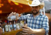 Caída de precios de agave afecta a los tequileros en México