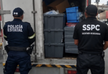 Recuperan medicamentos y vehículos robados en Chalco, un operativo exitoso