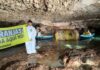 Greenpeace denuncia contaminación en cenotes y pozos de Yucatán