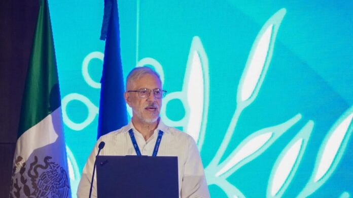 mexico-propone-estrategia-regional-ante-aumento-sargazo-caribe